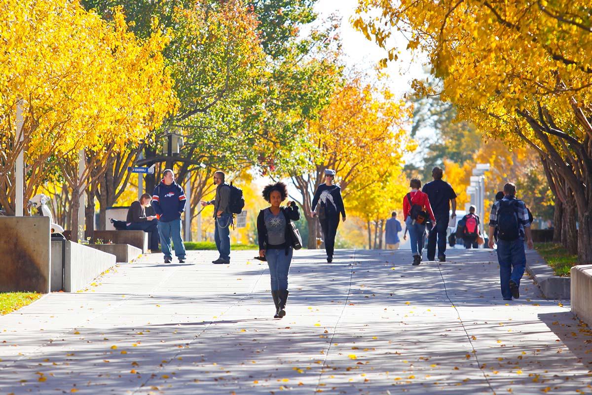 Students walking through Auraria Campus on a leafy fall day.